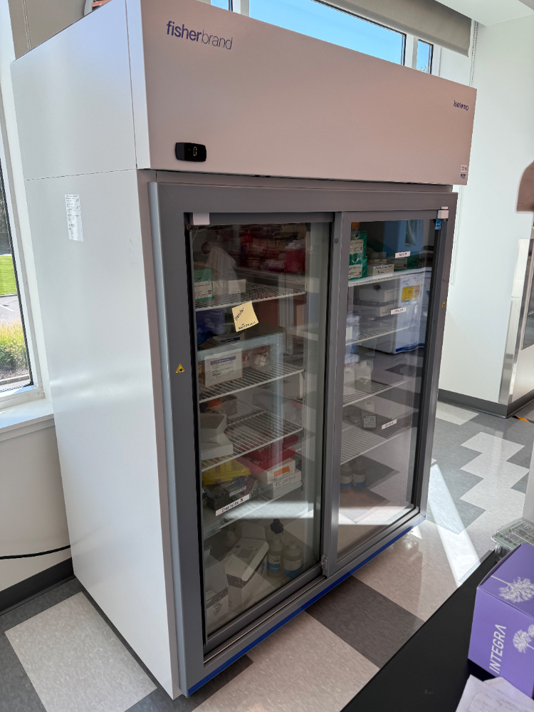 Image of Fisherbrand Isotemp Double Door Laboratory Refrigerator